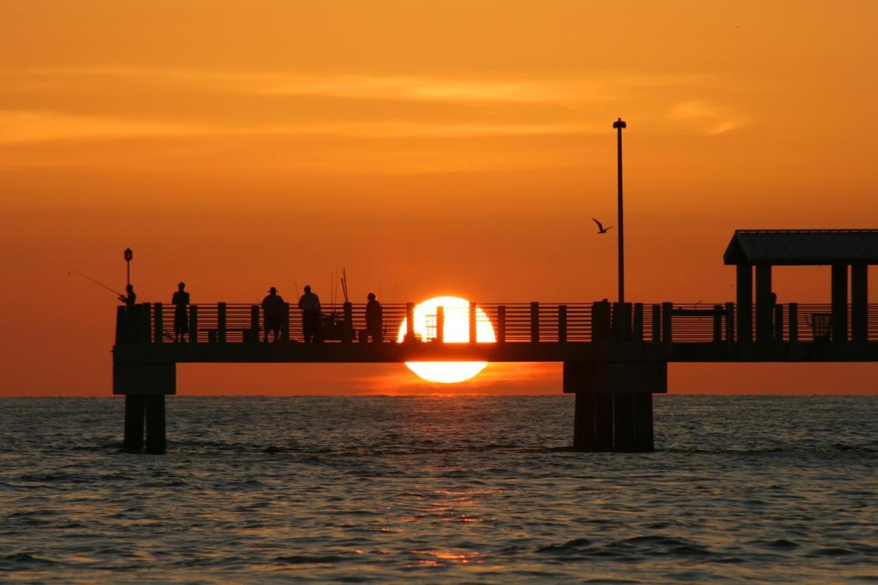 The Palm Condos St. Pete Beach Bagian luar foto