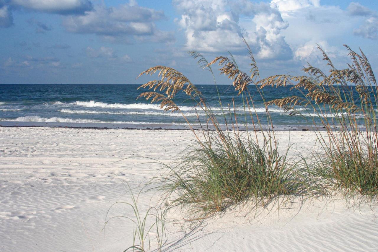 The Palm Condos St. Pete Beach Bagian luar foto